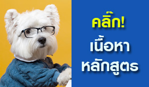 ดูหลักสูตร StepPlus Training